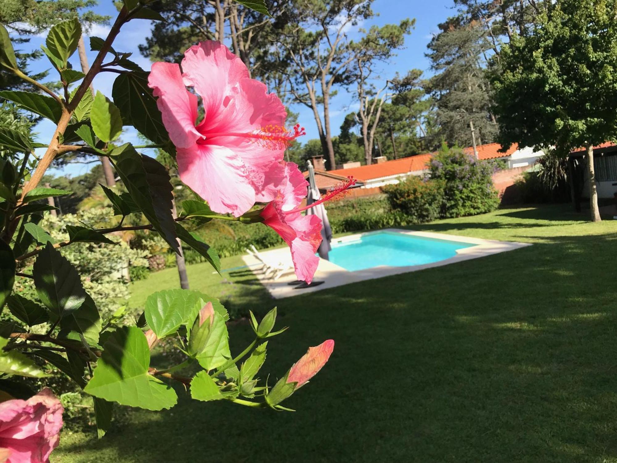 El Gauchito Villa Punta del Este Luaran gambar